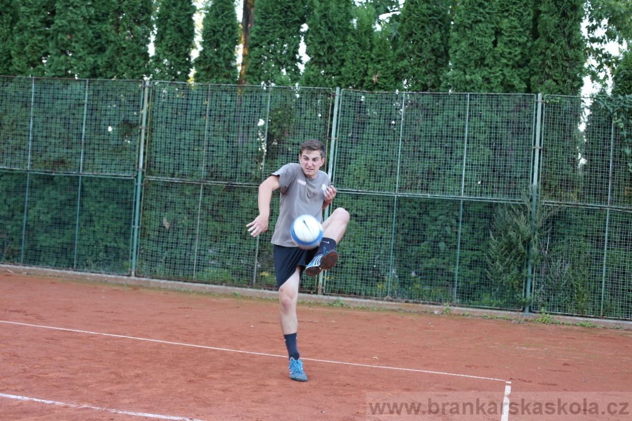 BFŠJCH - Léto 2017 - 29.7.2018