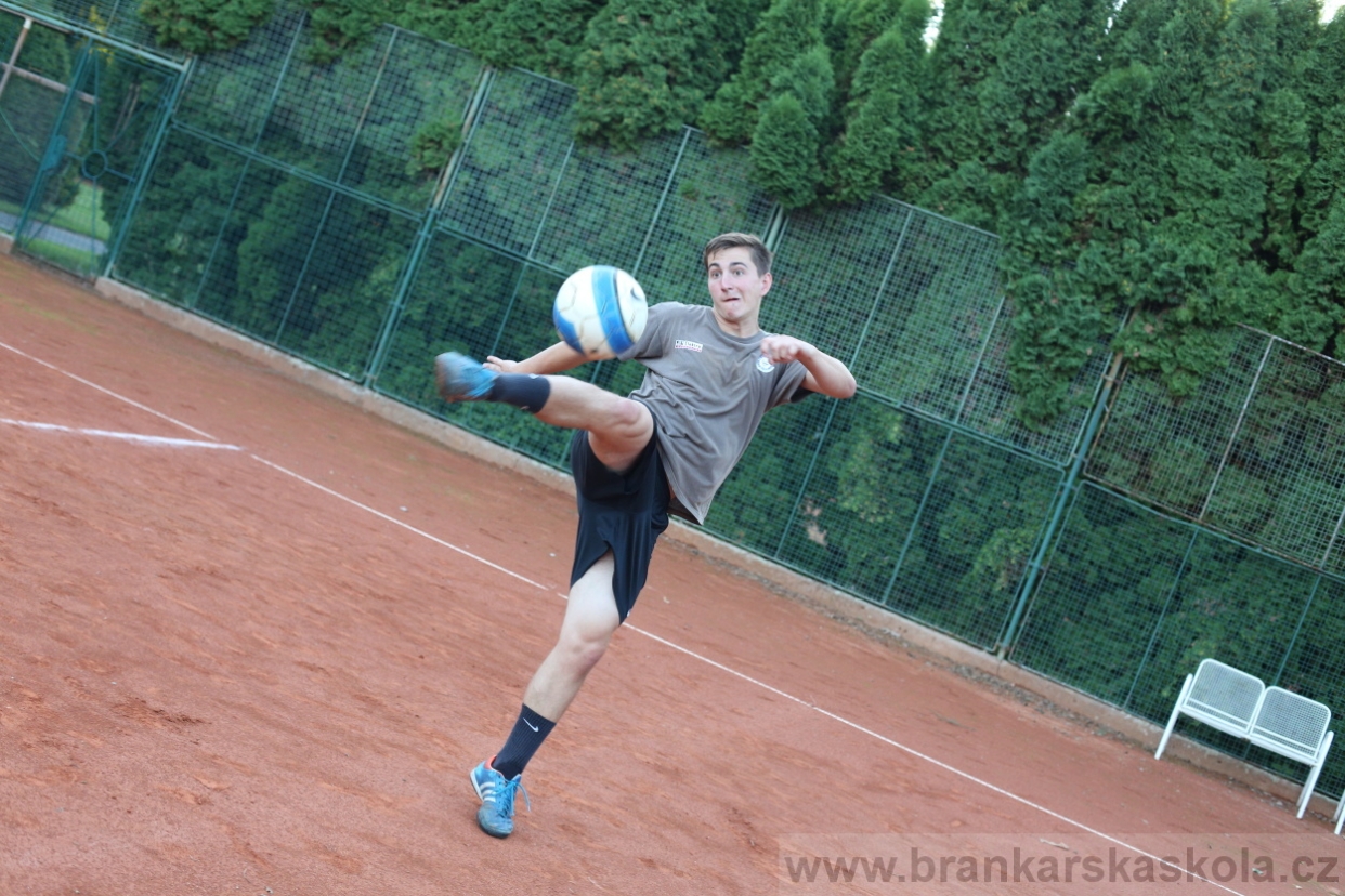 BFŠJCH - Léto 2017 - 29.7.2018