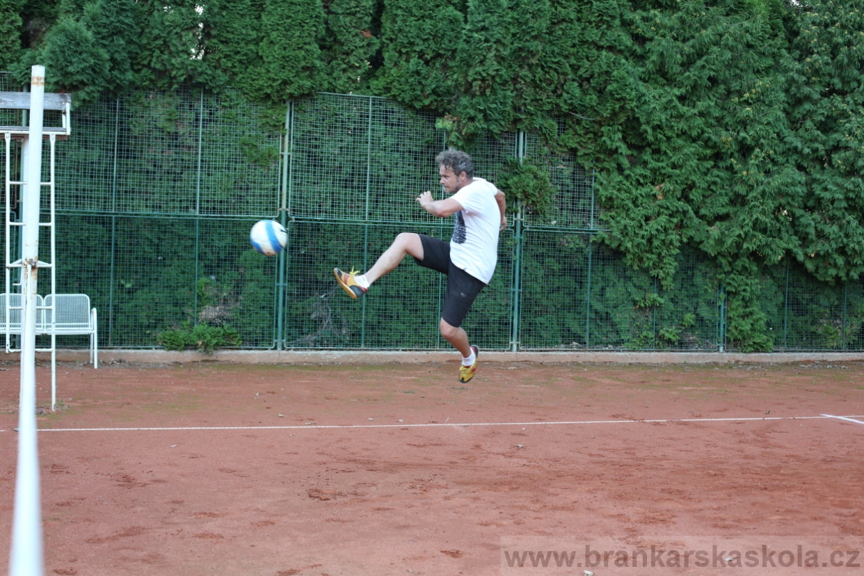 BFŠJCH - Léto 2017 - 29.7.2018