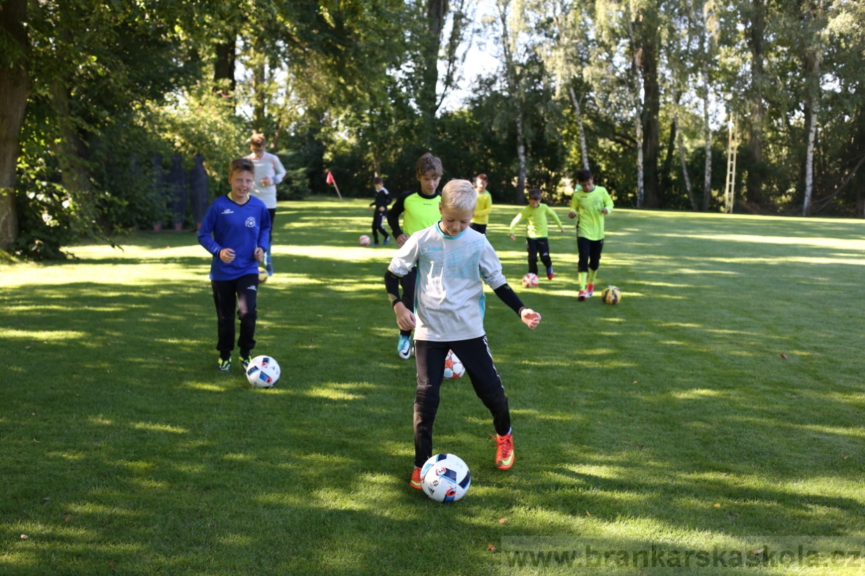 BFŠJCH - Léto 2017 - 30.7.2018