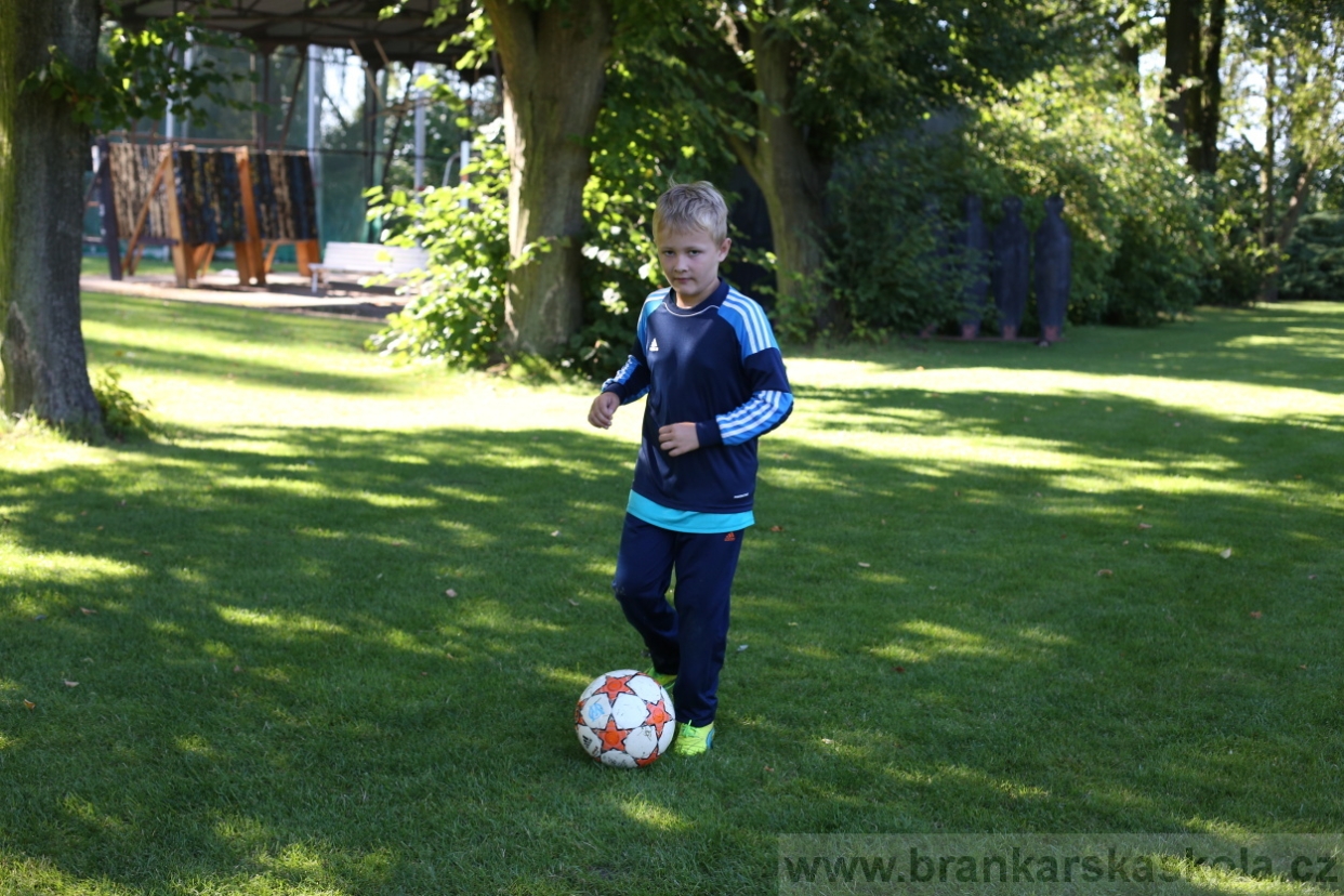 BFŠJCH - Léto 2017 - 30.7.2018