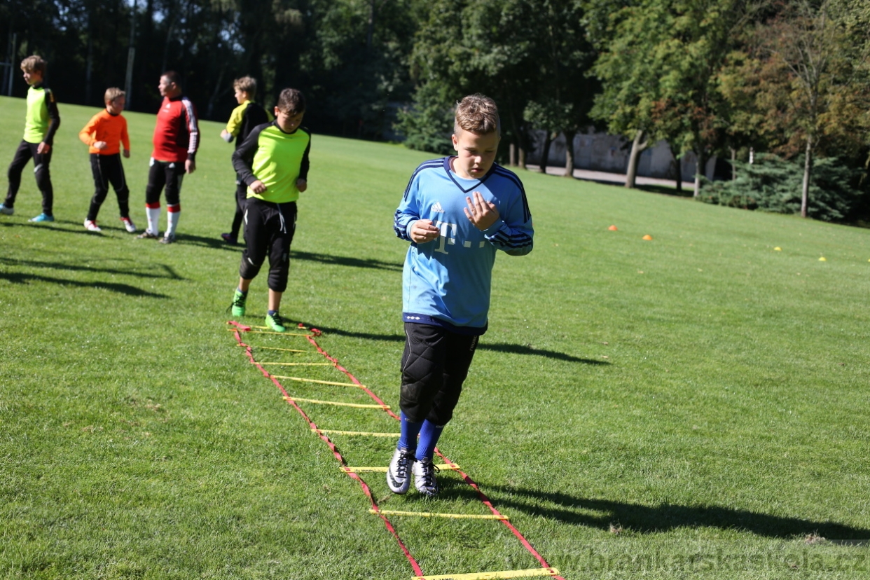 BFŠJCH - Léto 2017 - 30.7.2018