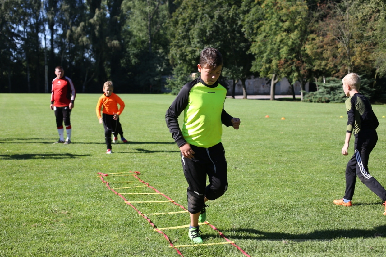 BFŠJCH - Léto 2017 - 30.7.2018