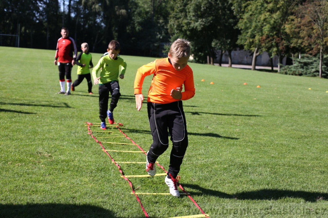 BFŠJCH - Léto 2017 - 30.7.2018