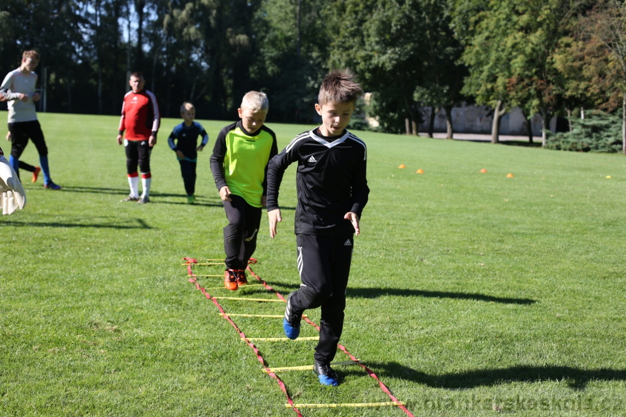 BFŠJCH - Léto 2017 - 30.7.2018