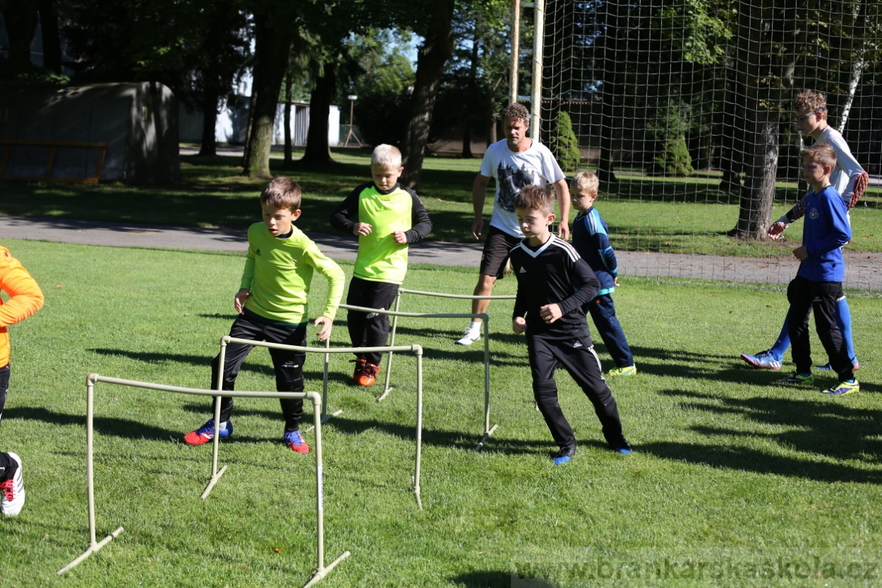 BFŠJCH - Léto 2017 - 30.7.2018
