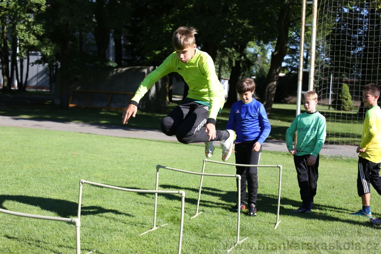 BFŠJCH - Léto 2017 - 30.7.2018