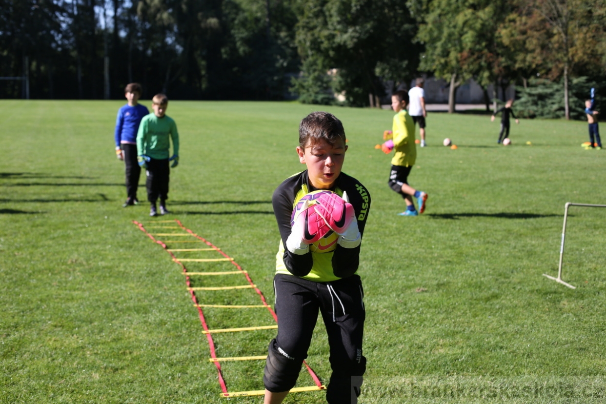 BFŠJCH - Léto 2017 - 30.7.2018