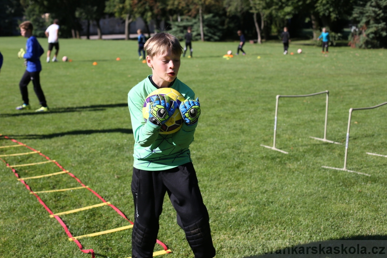 BFŠJCH - Léto 2017 - 30.7.2018