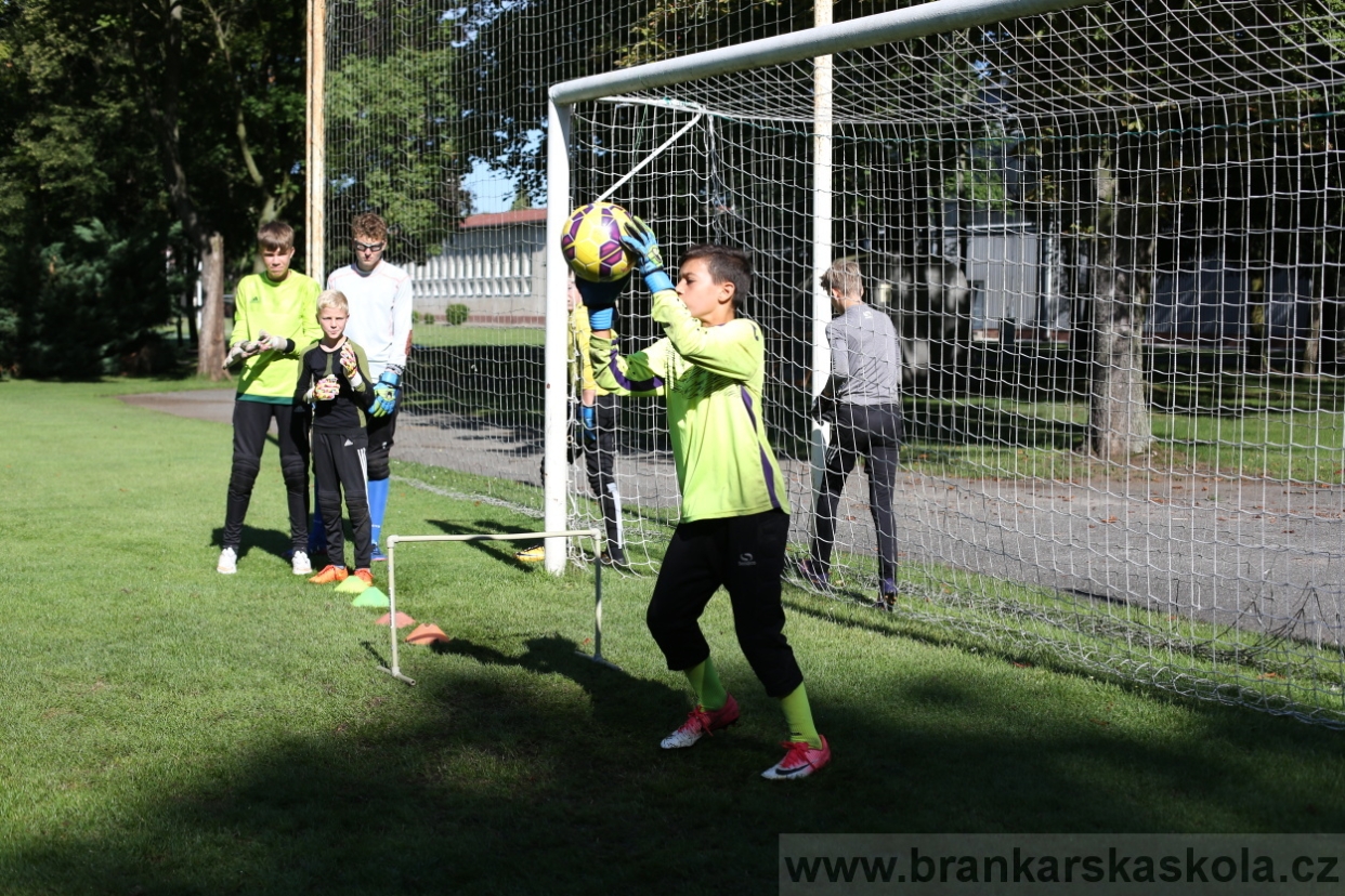 BFŠJCH - Léto 2017 - 30.7.2018