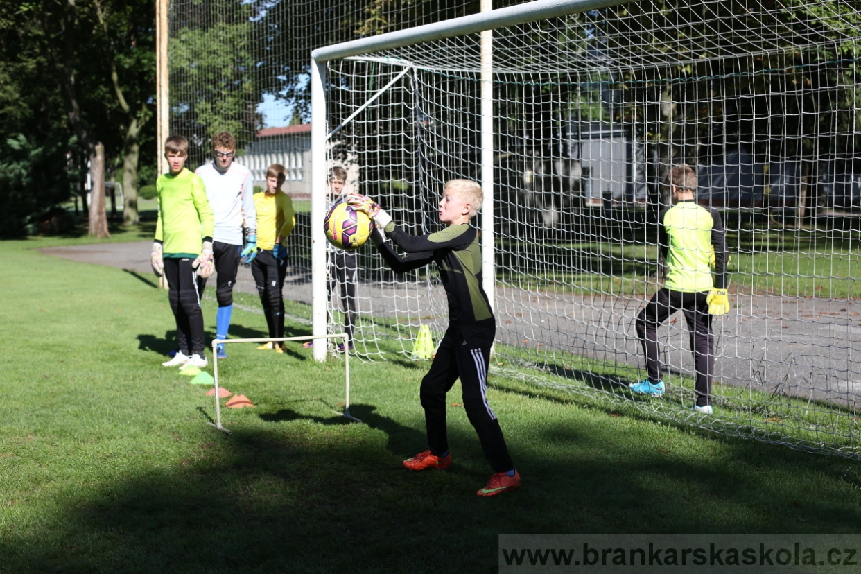 BFŠJCH - Léto 2017 - 30.7.2018