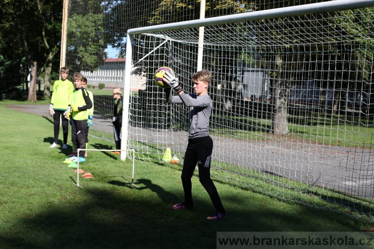 BFŠJCH - Léto 2017 - 30.7.2018