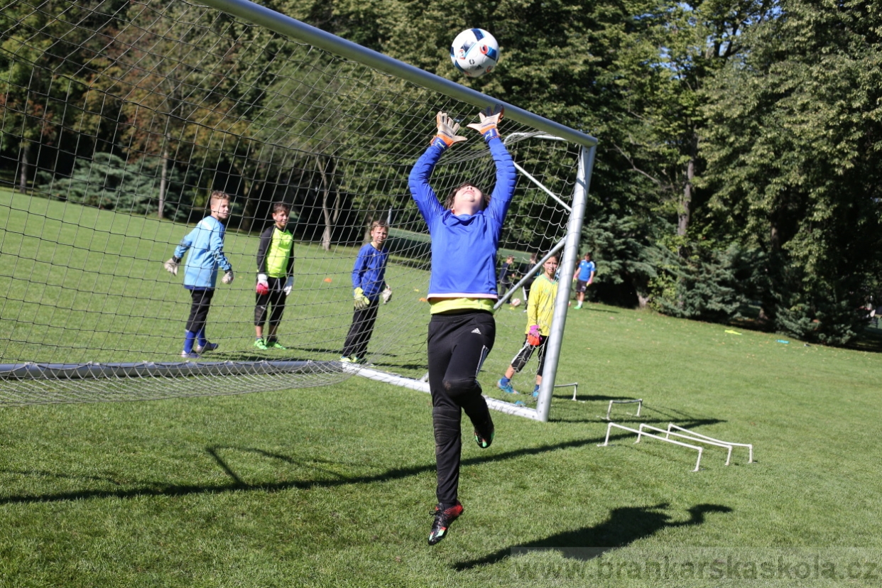 BFŠJCH - Léto 2017 - 30.7.2018