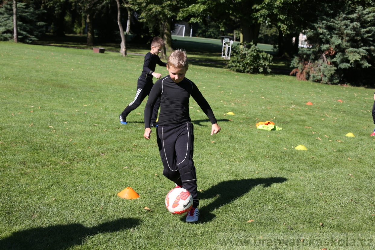 BFŠJCH - Léto 2017 - 30.7.2018