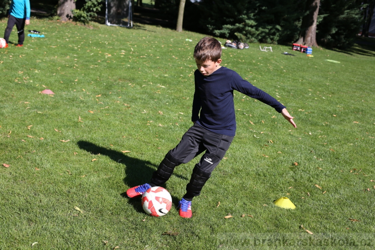 BFŠJCH - Léto 2017 - 30.7.2018