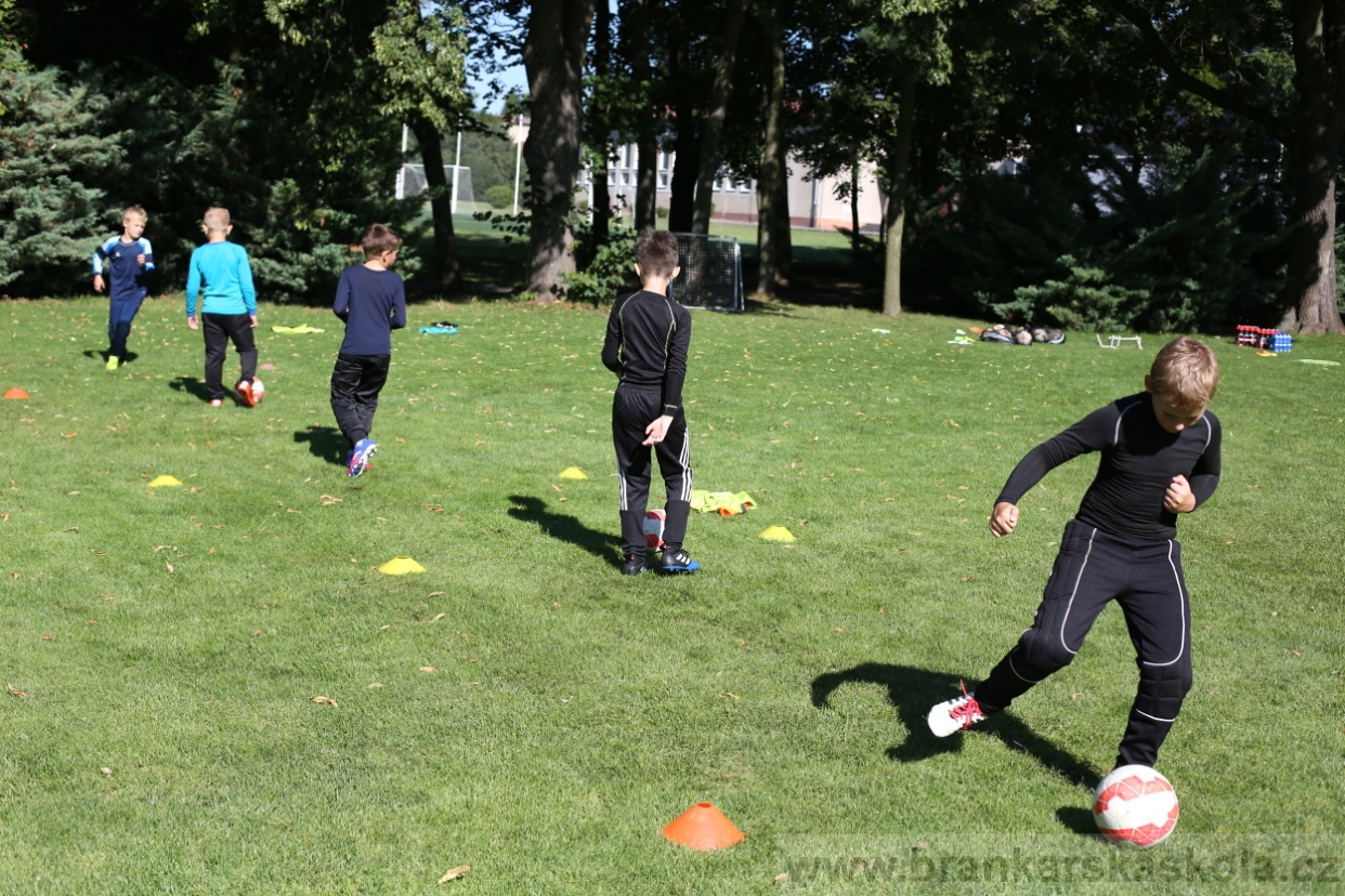 BFŠJCH - Léto 2017 - 30.7.2018