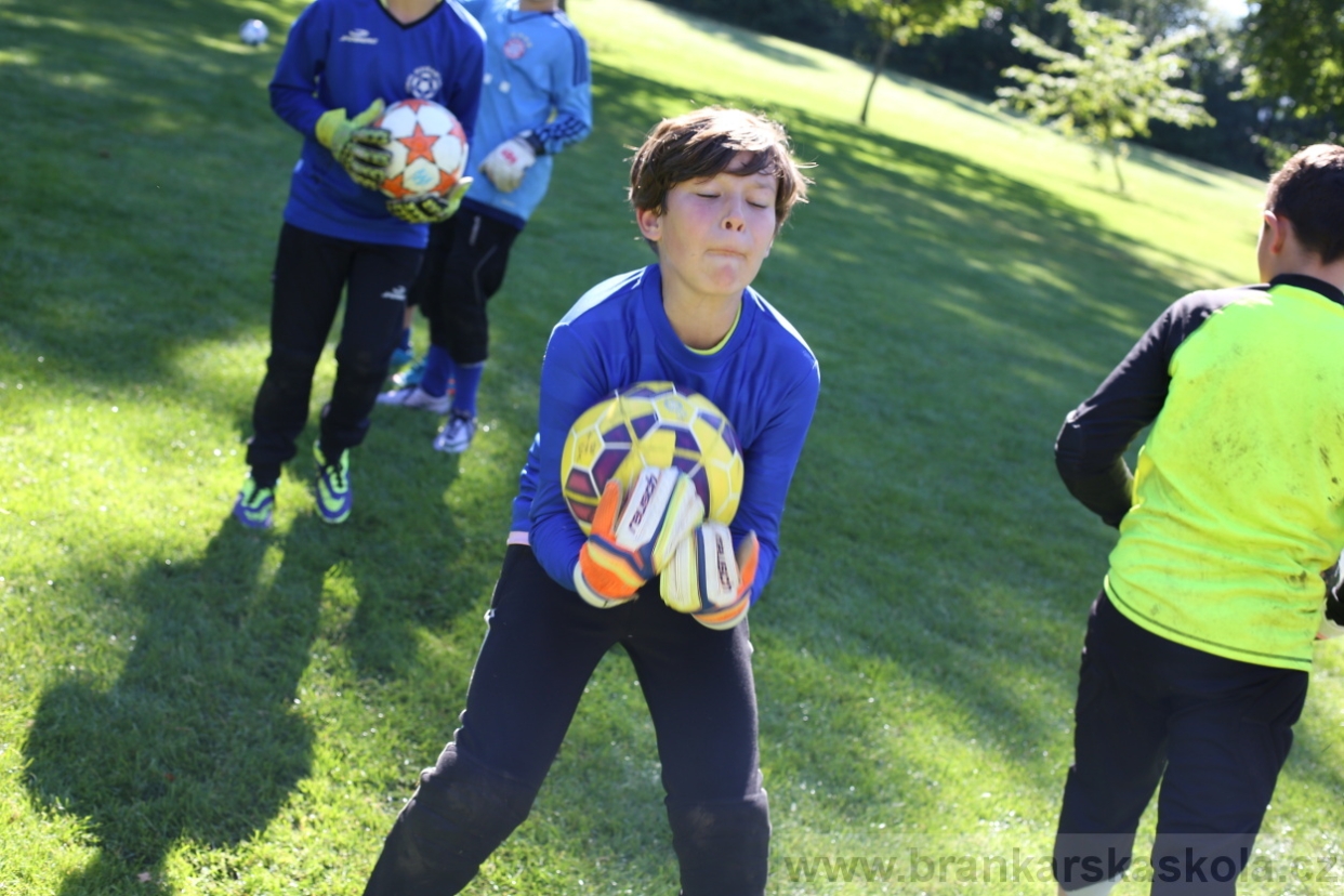 BFŠJCH - Léto 2017 - 30.7.2018
