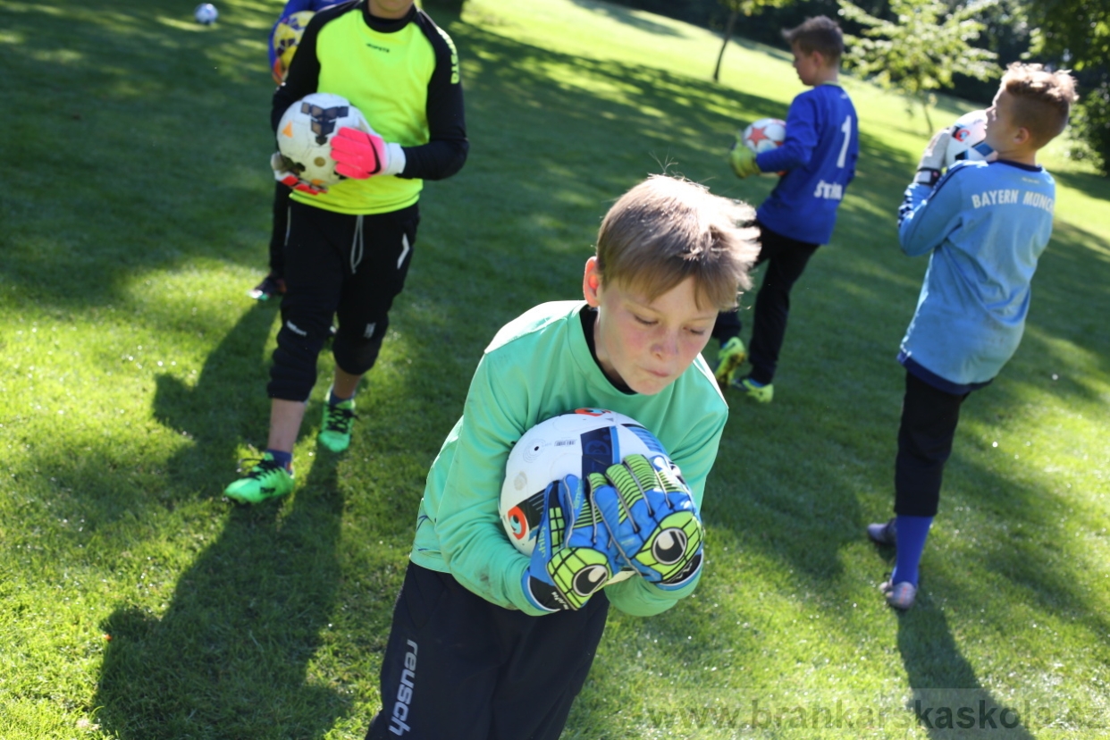 BFŠJCH - Léto 2017 - 30.7.2018