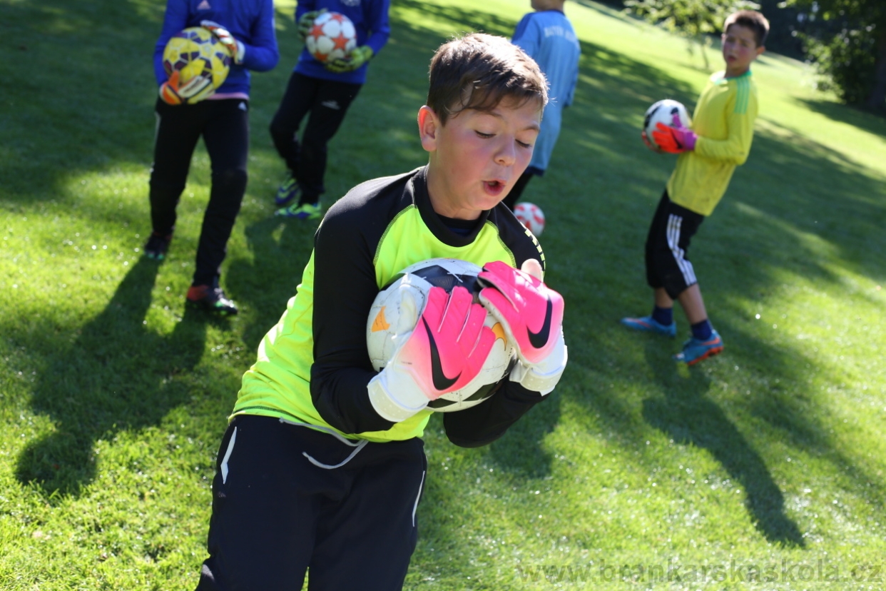 BFŠJCH - Léto 2017 - 30.7.2018