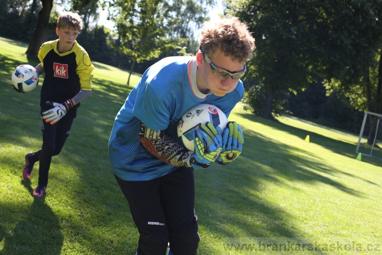 BFŠJCH - Léto 2017 - 30.7.2018