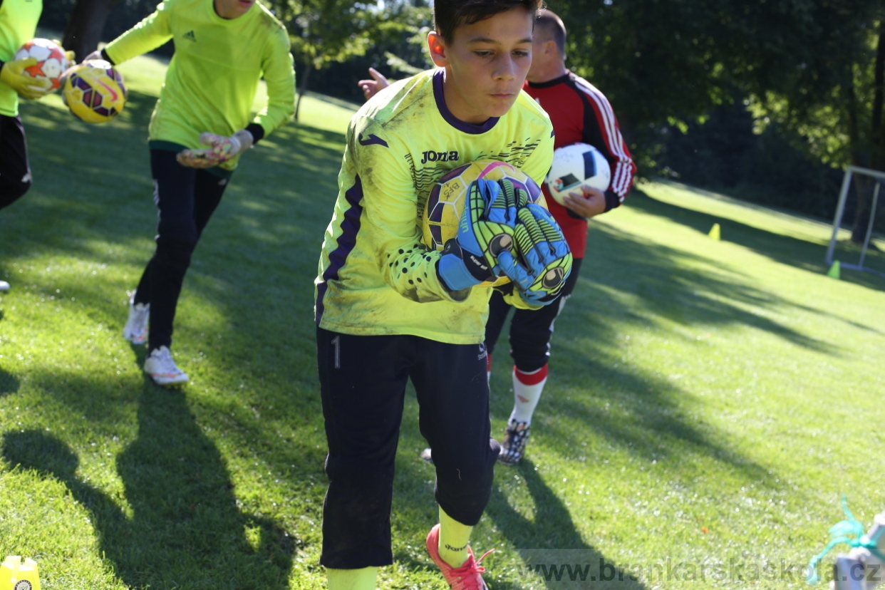 BFŠJCH - Léto 2017 - 30.7.2018