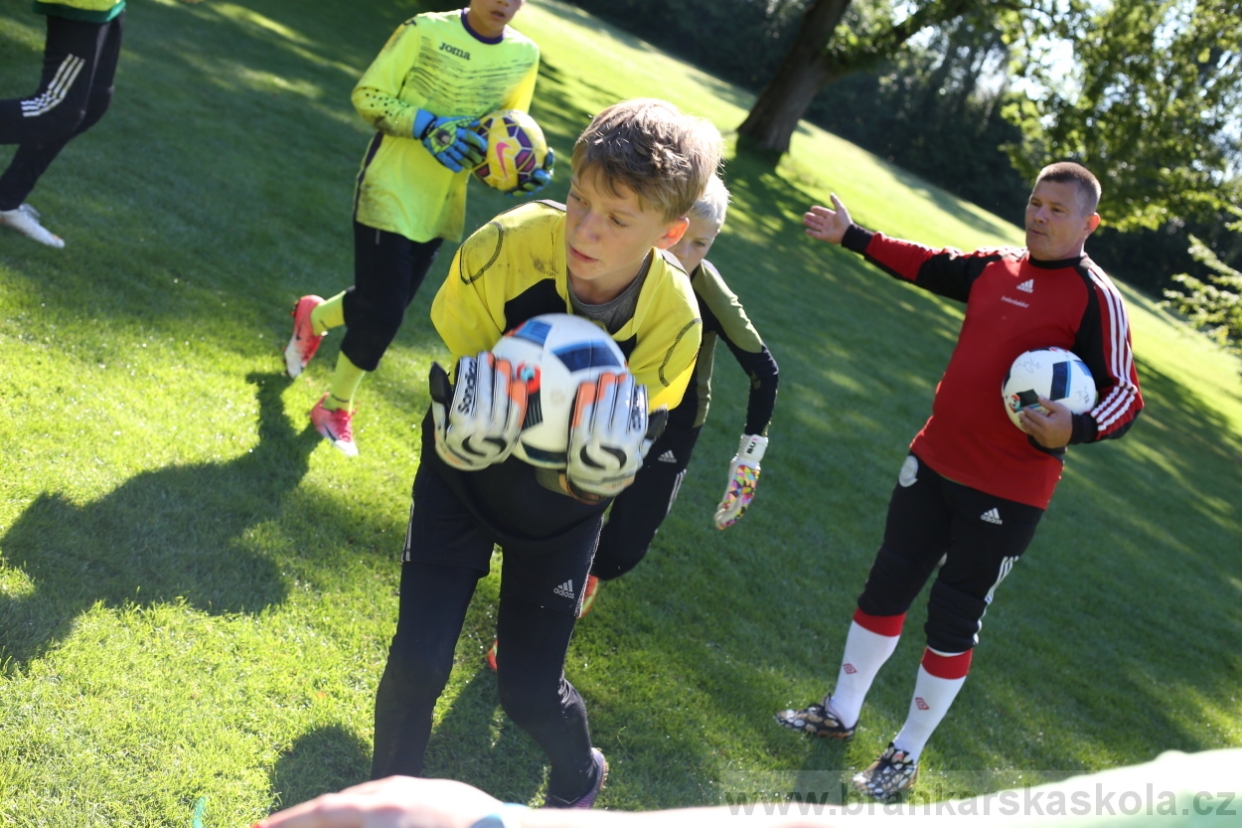 BFŠJCH - Léto 2017 - 30.7.2018