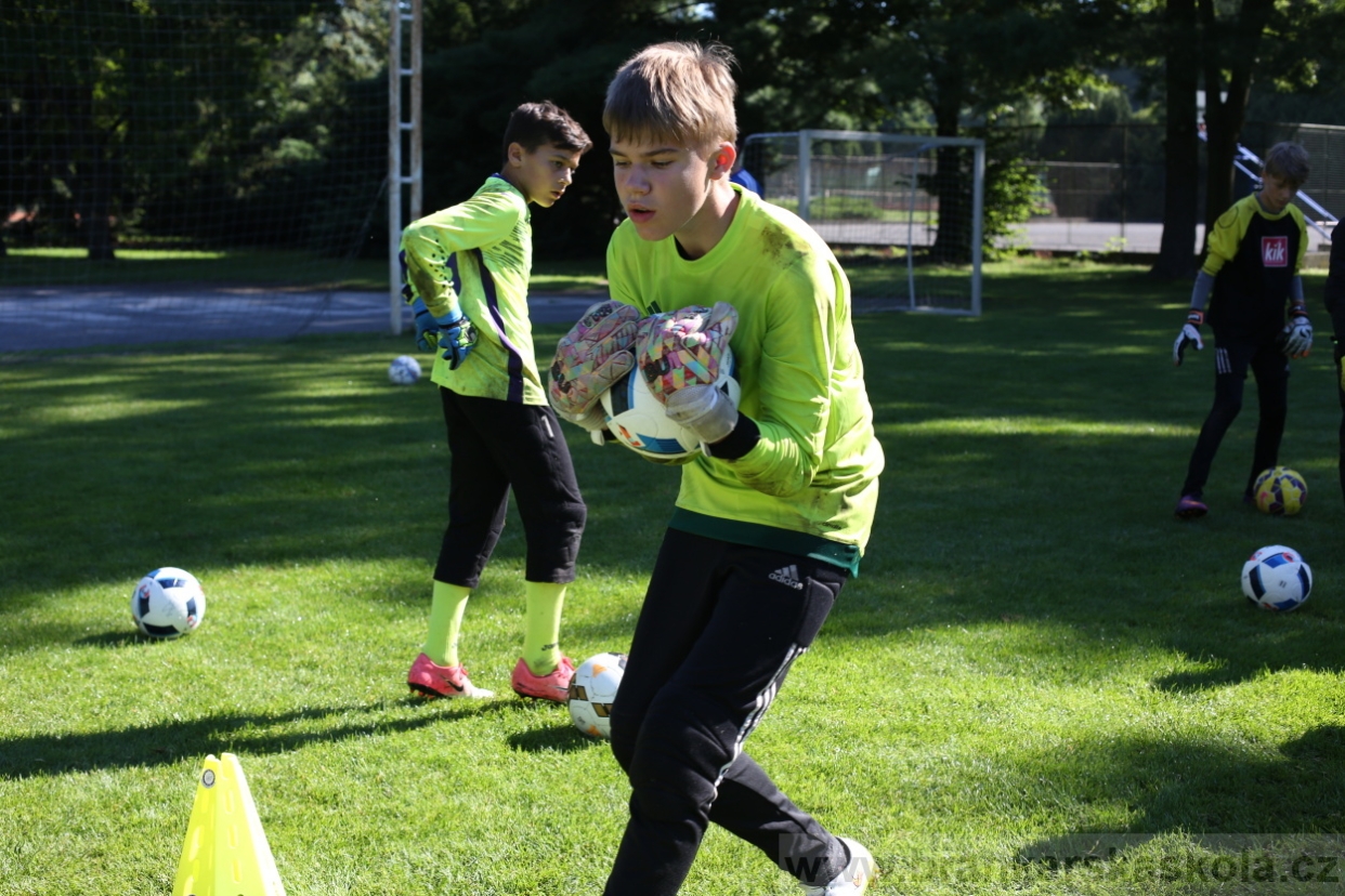 BFŠJCH - Léto 2017 - 30.7.2018