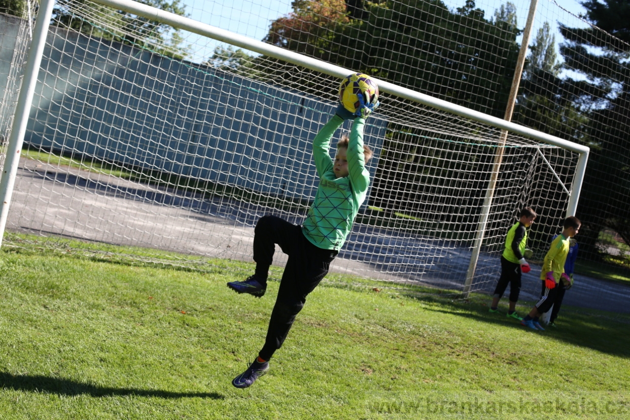 BFŠJCH - Léto 2017 - 30.7.2018