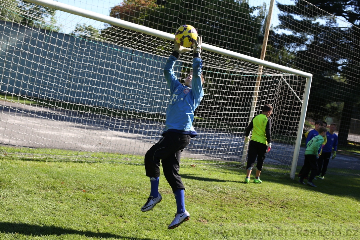 BFŠJCH - Léto 2017 - 30.7.2018