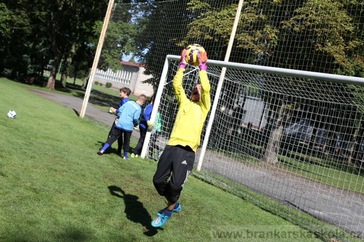 BFŠJCH - Léto 2017 - 30.7.2018