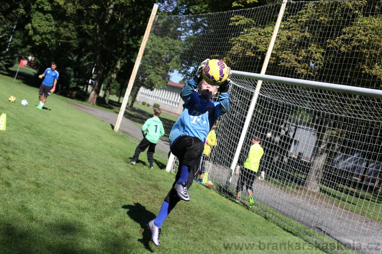 BFŠJCH - Léto 2017 - 30.7.2018