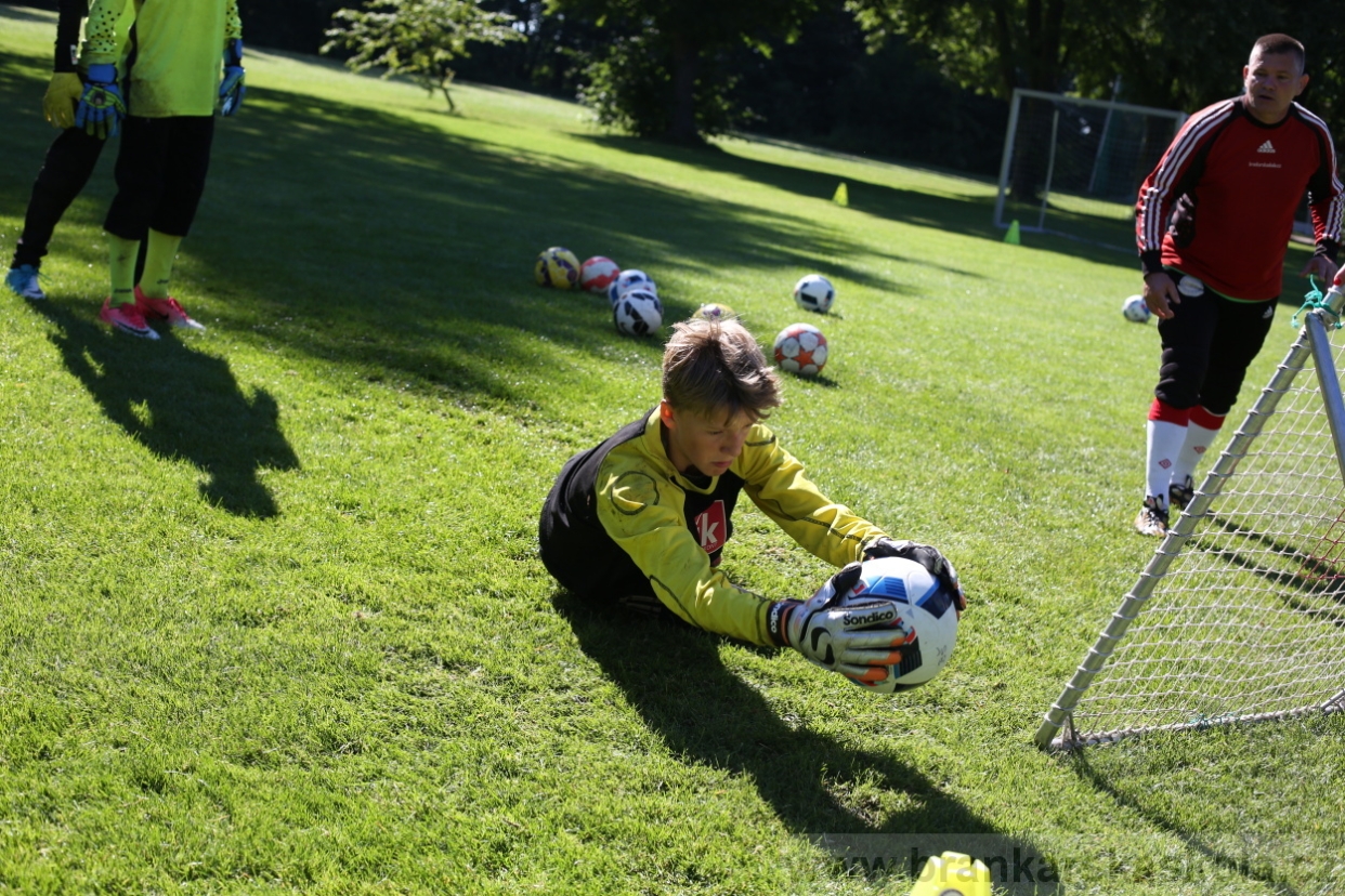BFŠJCH - Léto 2017 - 30.7.2018