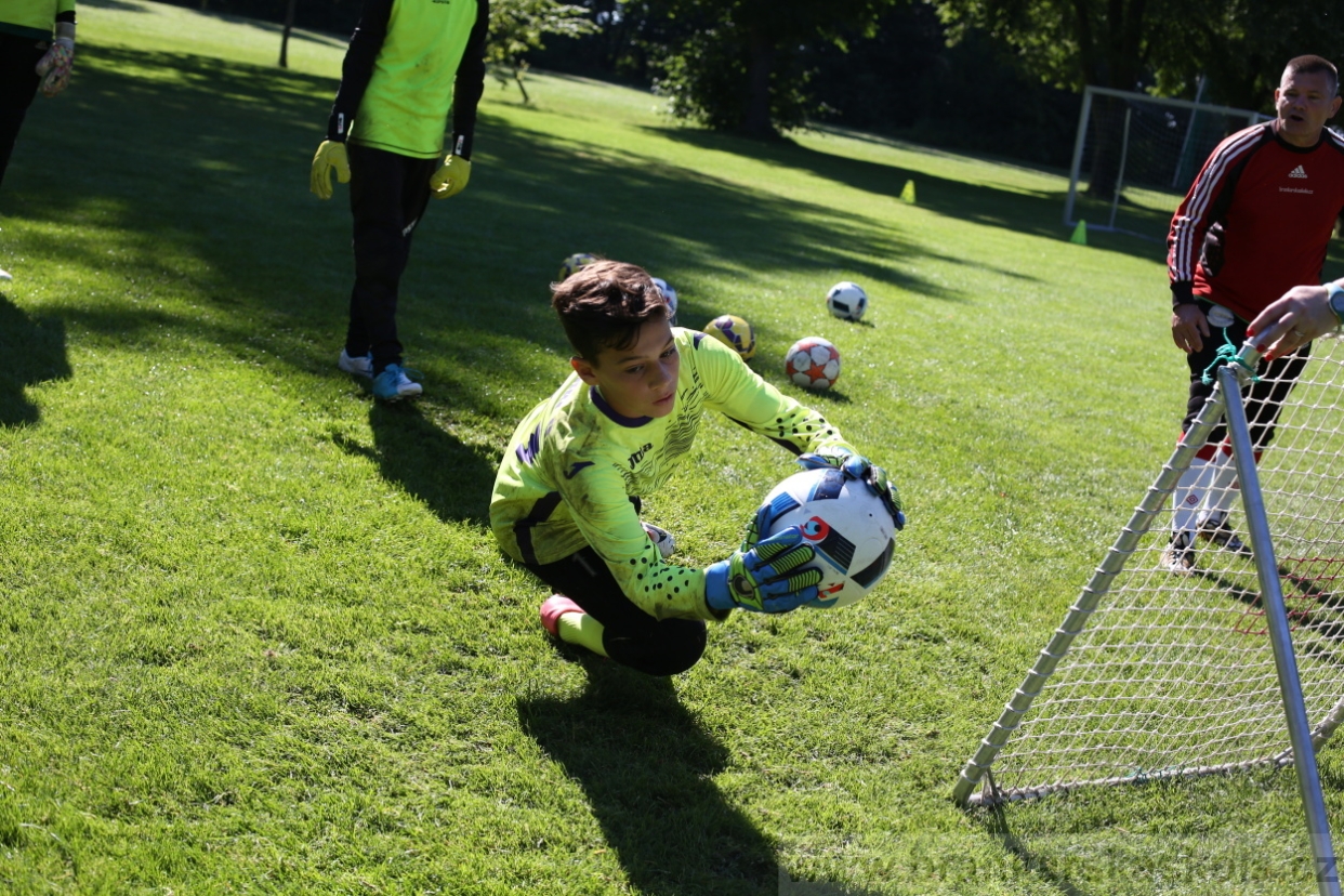 BFŠJCH - Léto 2017 - 30.7.2018