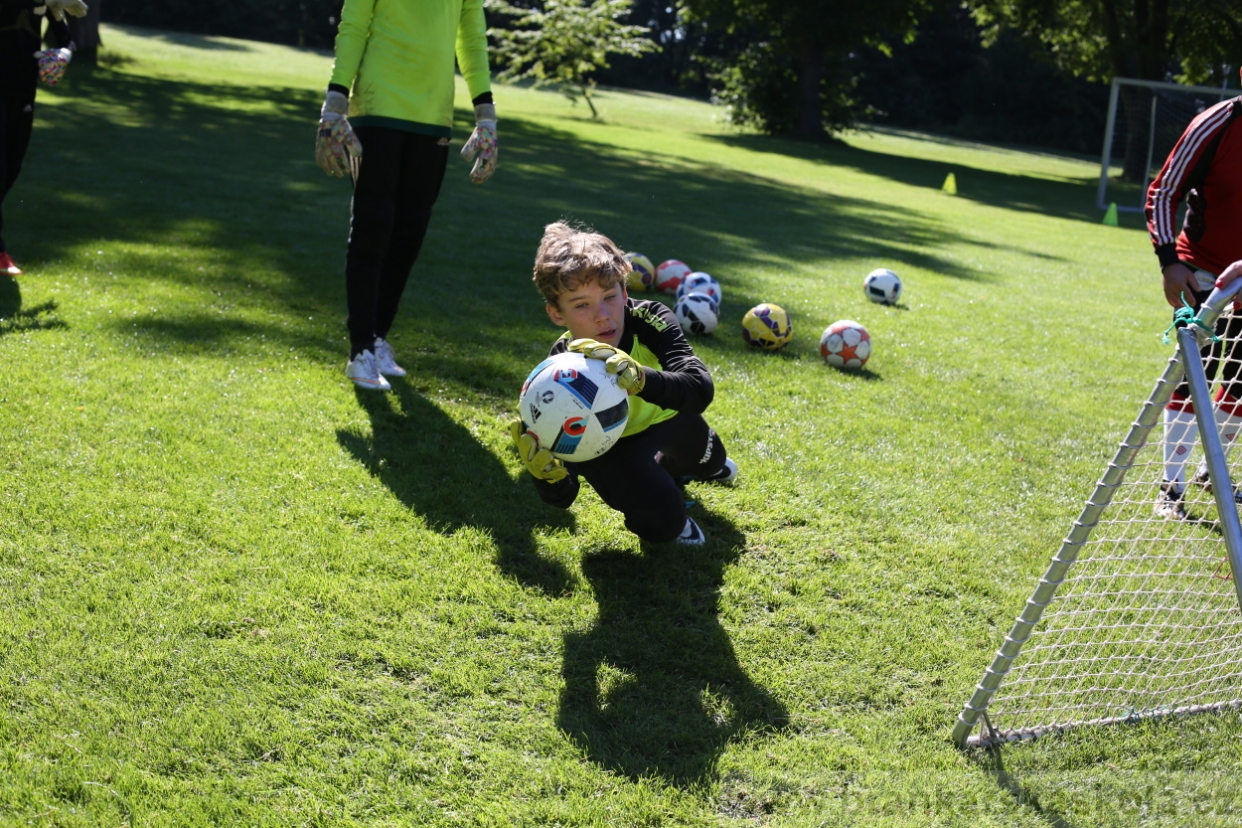 BFŠJCH - Léto 2017 - 30.7.2018