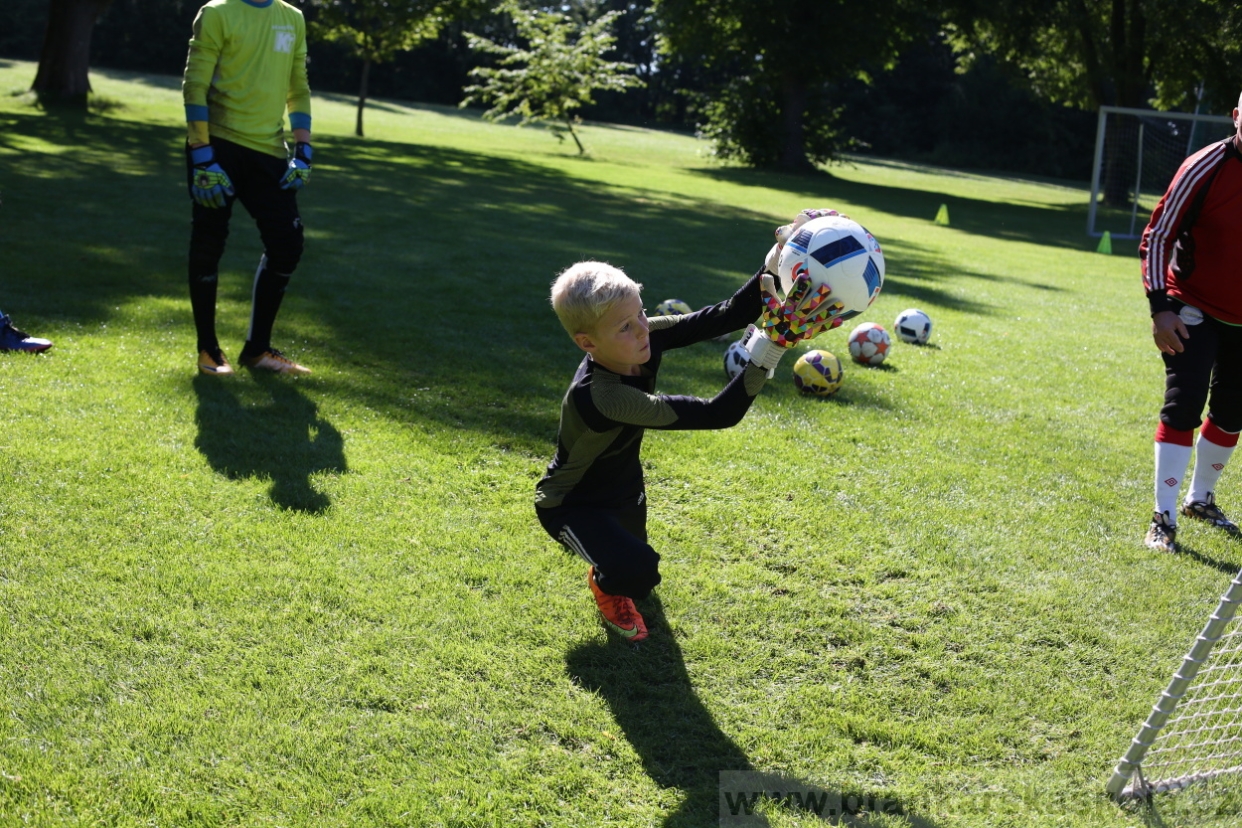 BFŠJCH - Léto 2017 - 30.7.2018