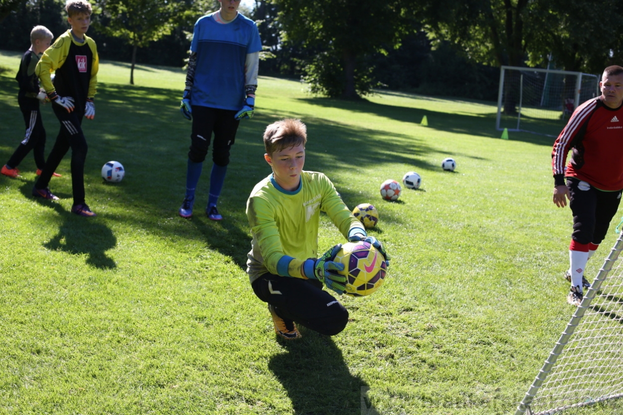 BFŠJCH - Léto 2017 - 30.7.2018