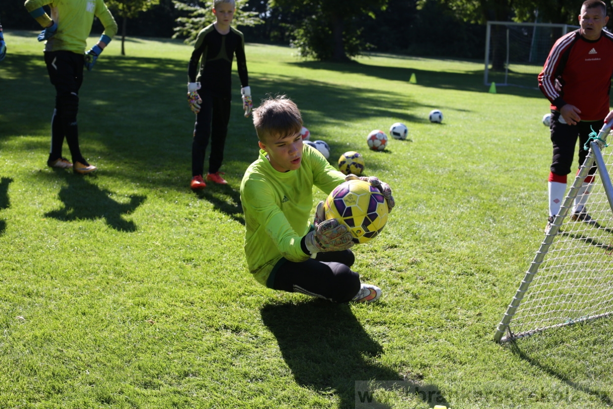 BFŠJCH - Léto 2017 - 30.7.2018