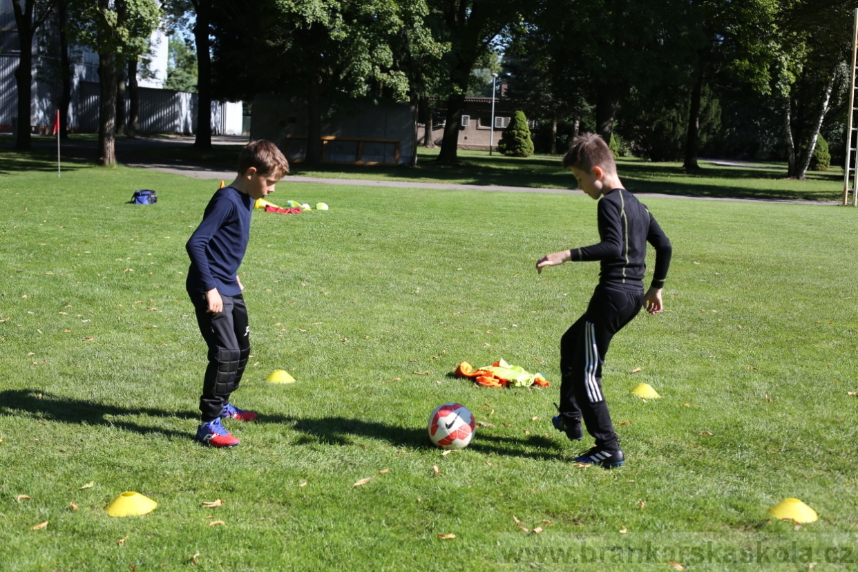 BFŠJCH - Léto 2017 - 30.7.2018