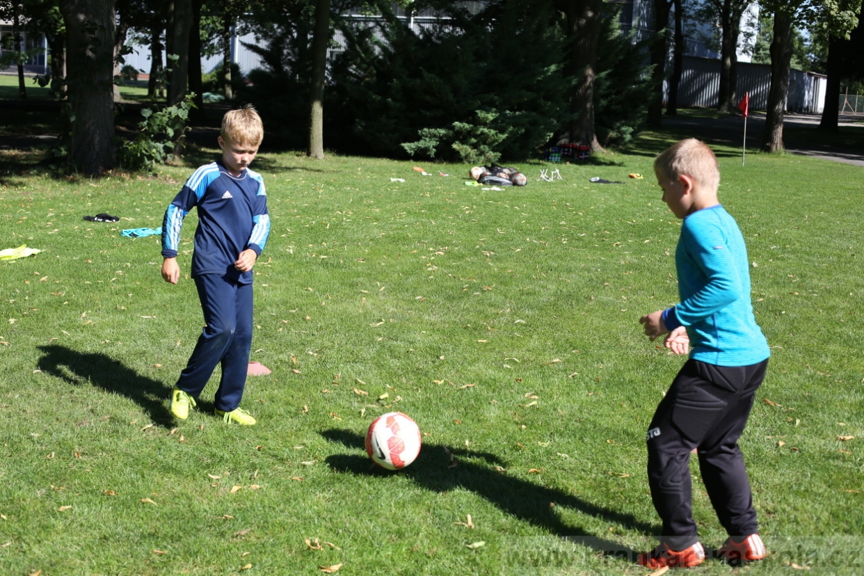 BFŠJCH - Léto 2017 - 30.7.2018