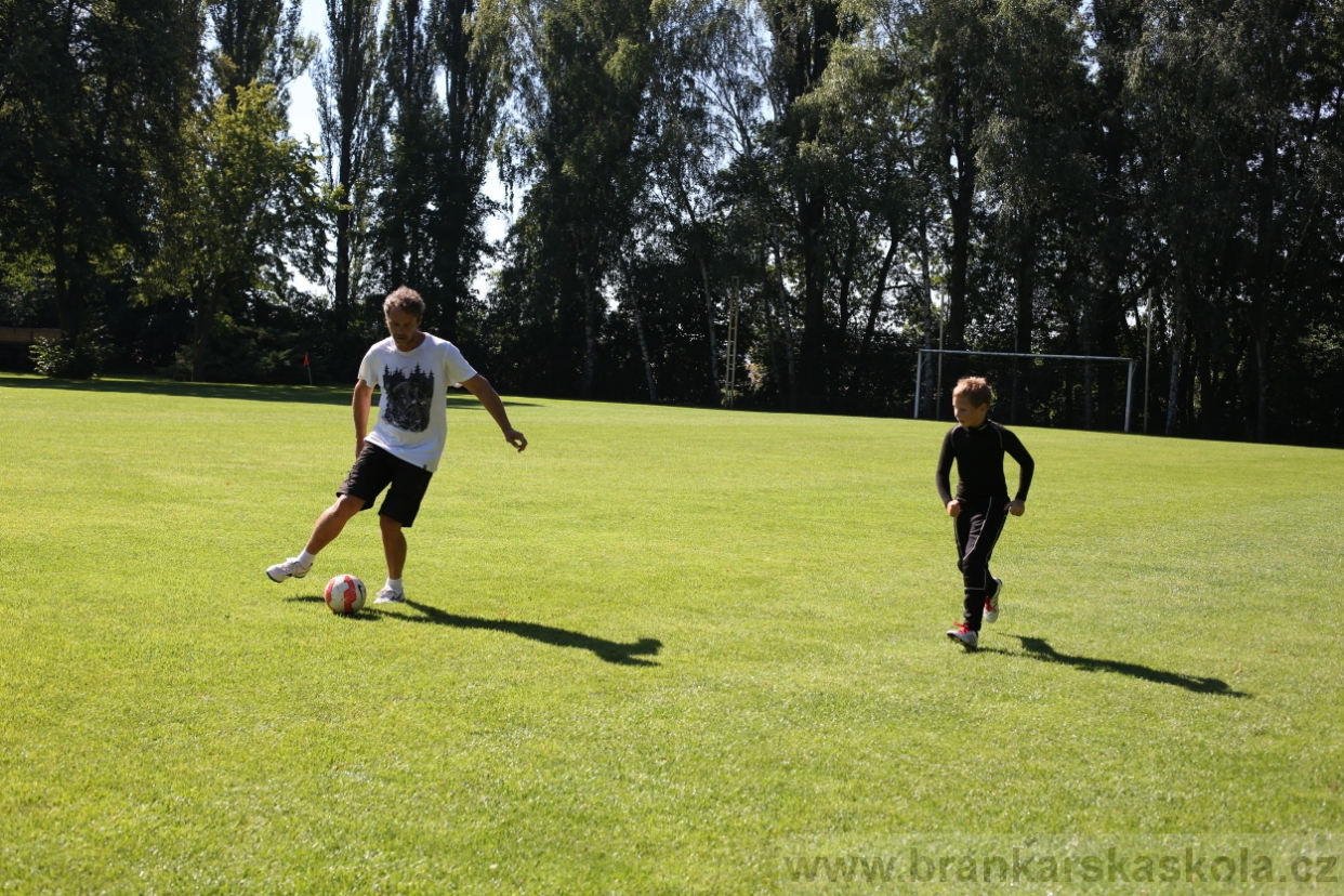 BFŠJCH - Léto 2017 - 30.7.2018