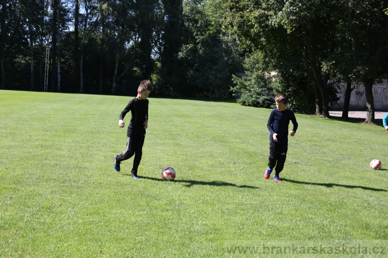 BFŠJCH - Léto 2017 - 30.7.2018