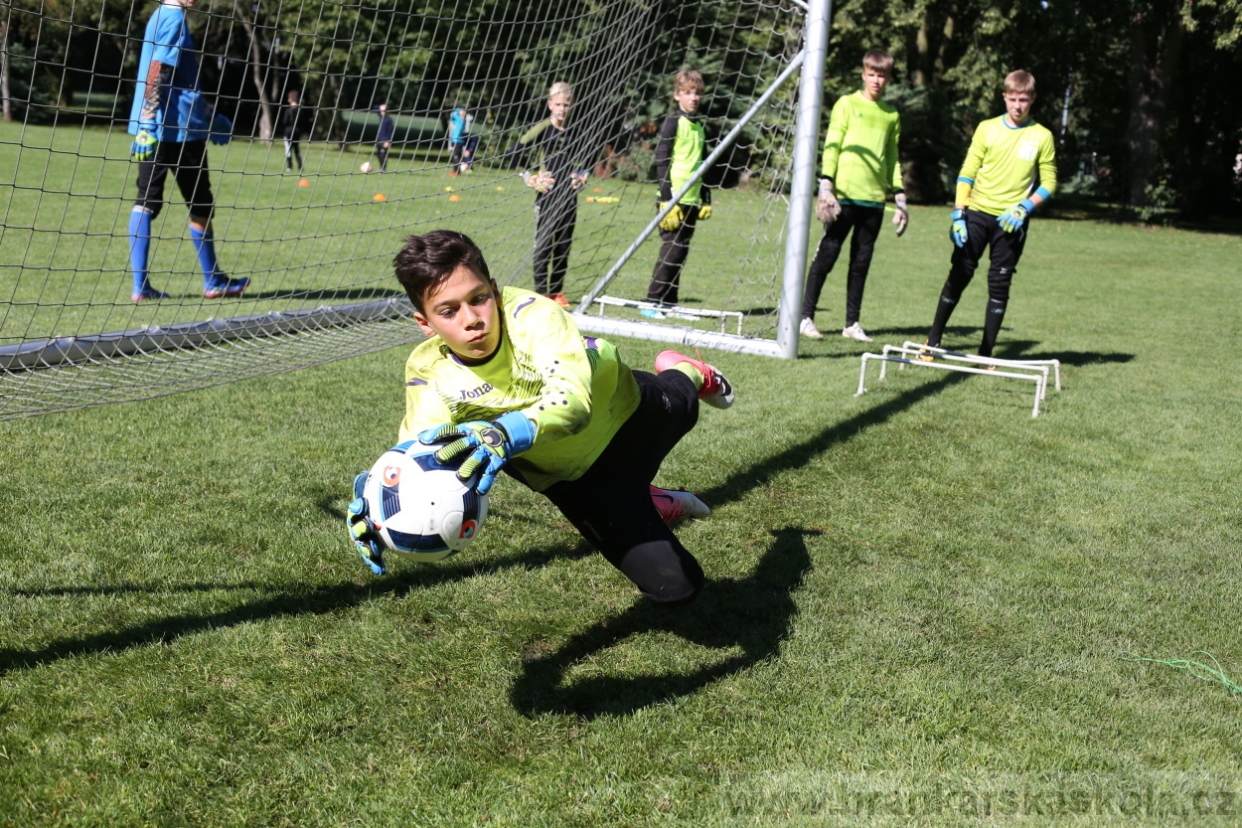 BFŠJCH - Léto 2017 - 30.7.2018