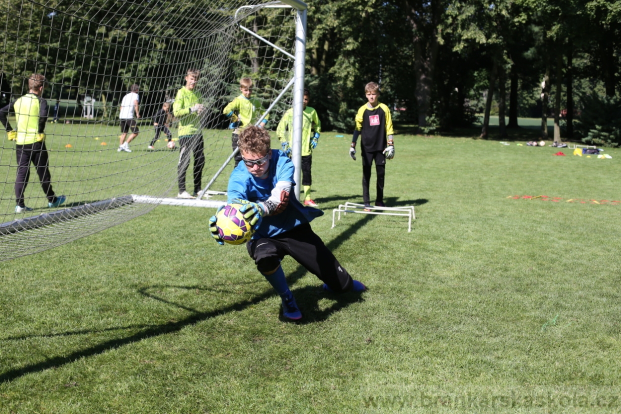 BFŠJCH - Léto 2017 - 30.7.2018