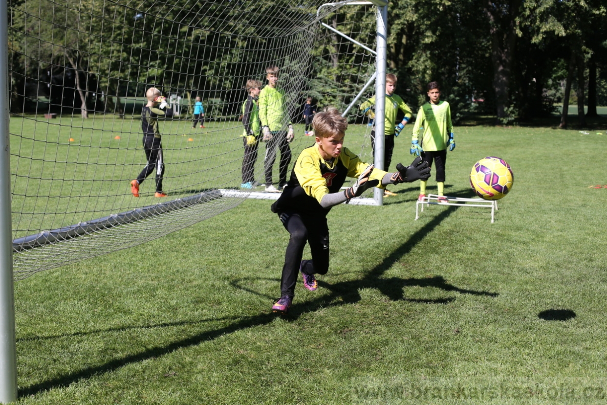 BFŠJCH - Léto 2017 - 30.7.2018