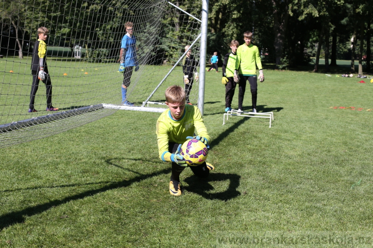 BFŠJCH - Léto 2017 - 30.7.2018