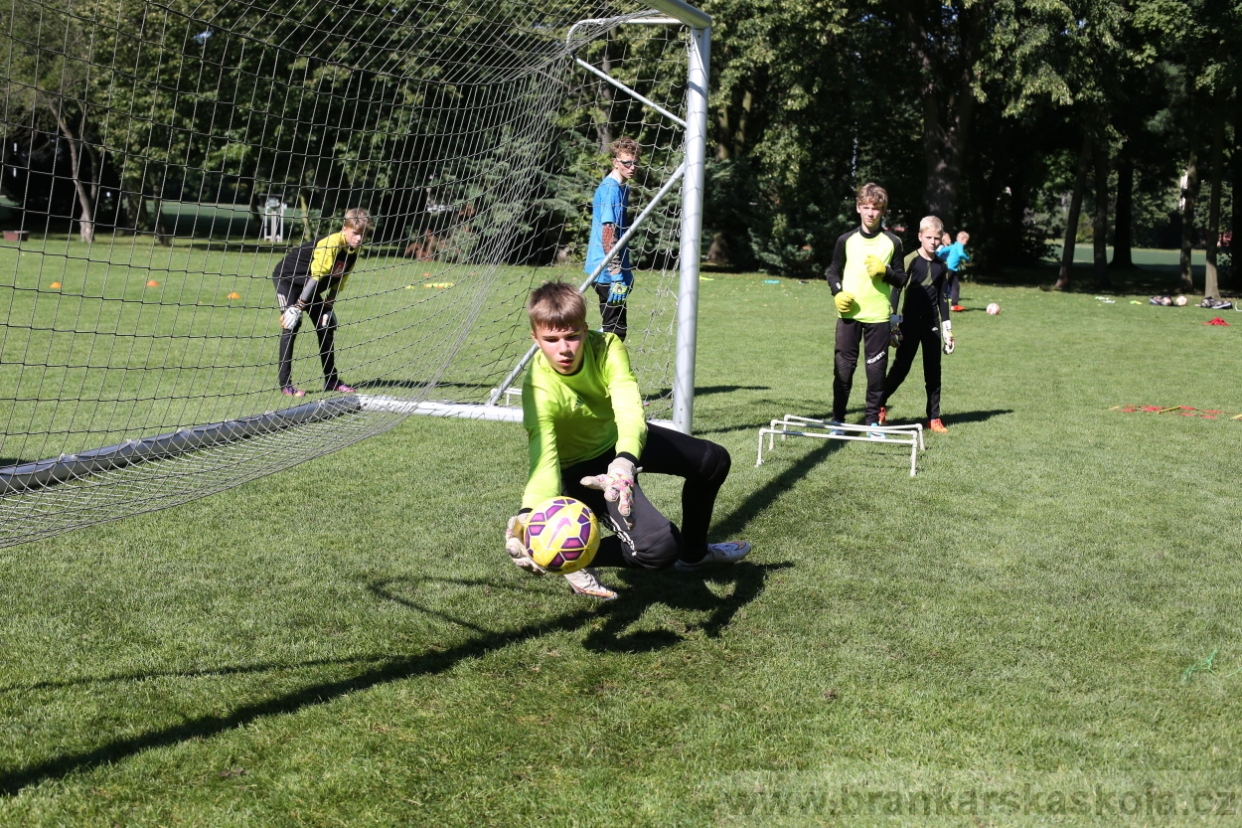 BFŠJCH - Léto 2017 - 30.7.2018