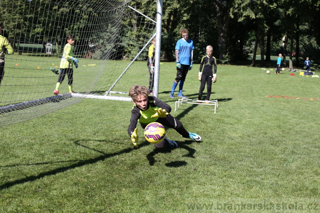 BFŠJCH - Léto 2017 - 30.7.2018