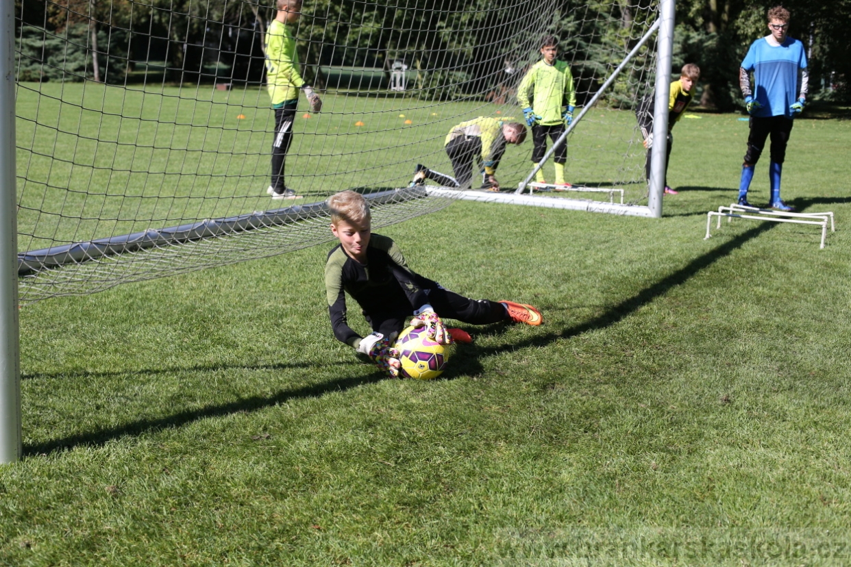 BFŠJCH - Léto 2017 - 30.7.2018