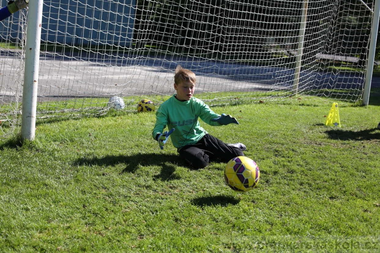 BFŠJCH - Léto 2017 - 30.7.2018