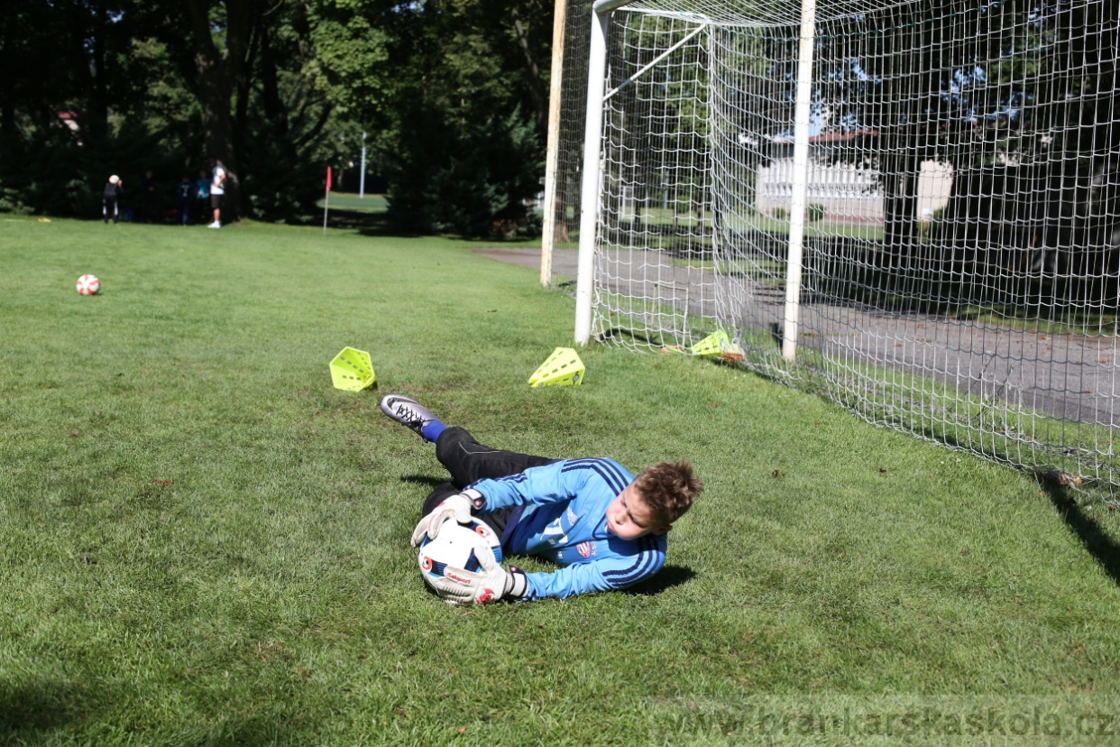 BFŠJCH - Léto 2017 - 30.7.2018